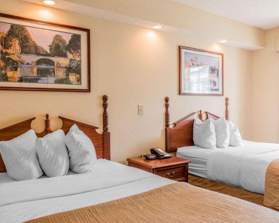 Rodeway Inn Sylacauga Hwy 280 Екстер'єр фото