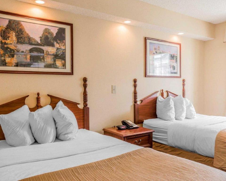 Rodeway Inn Sylacauga Hwy 280 Екстер'єр фото