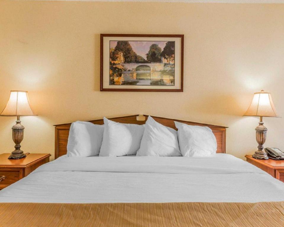 Rodeway Inn Sylacauga Hwy 280 Екстер'єр фото