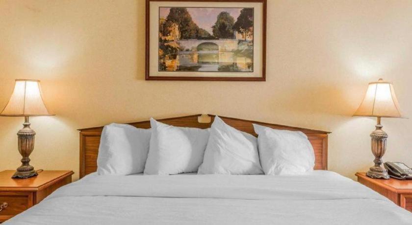 Rodeway Inn Sylacauga Hwy 280 Екстер'єр фото