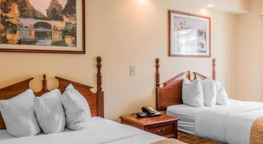 Rodeway Inn Sylacauga Hwy 280 Екстер'єр фото