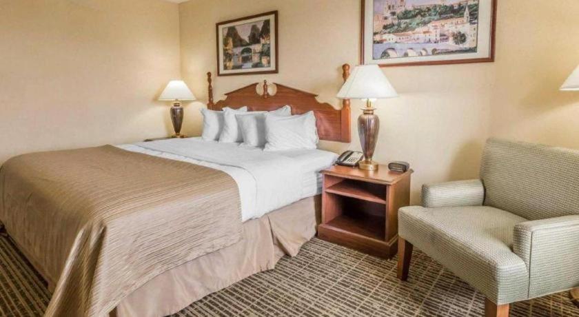 Rodeway Inn Sylacauga Hwy 280 Екстер'єр фото